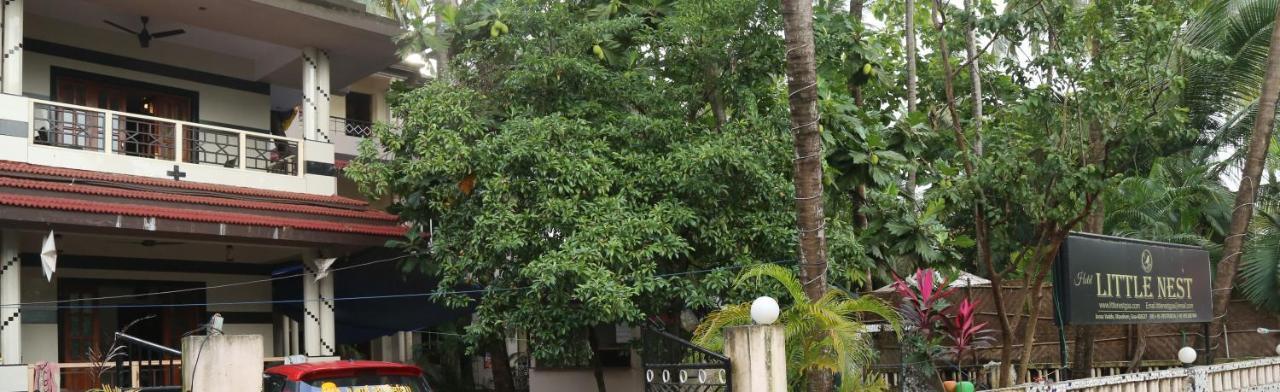 Little Nest Hotel Mandrem Bagian luar foto